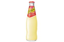 Schweppes Agrumes 24x25 cl